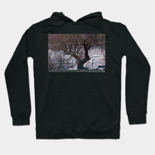 Le Conquet - L'arbre sur le port Hoodie